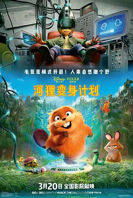 成人综合久久综合